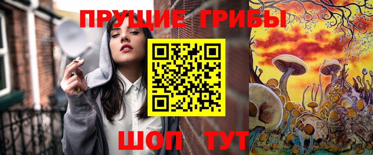 Псилоцибиновые грибы Cubensis Крымск