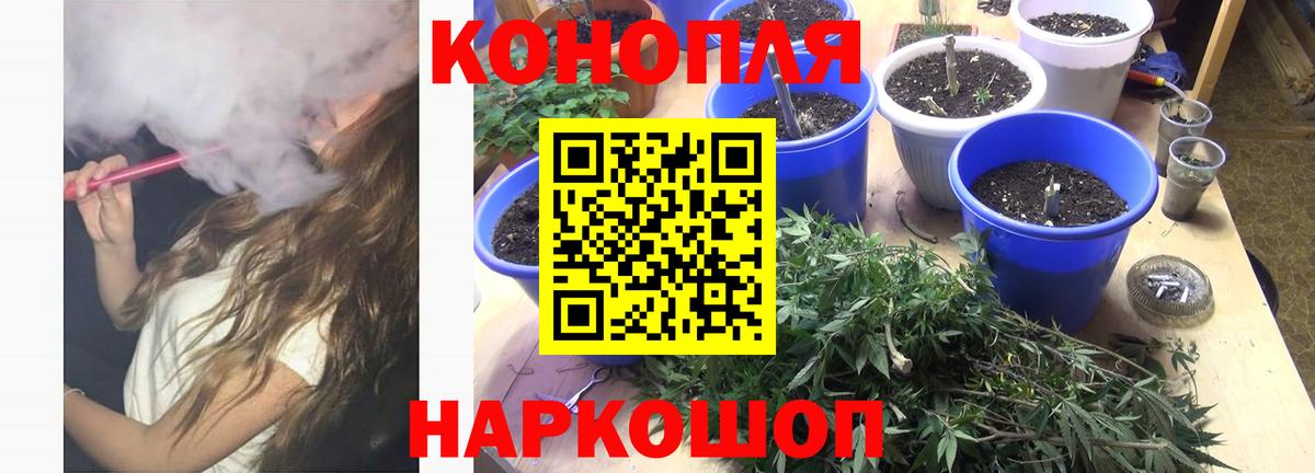 Бошки марихуана индика  Бошки Шишки сатива  Крымск  Шишки марихуана тримм  Канабис Bruce Banner  Вход с VPN 